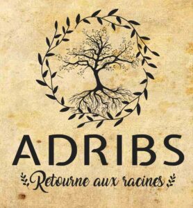 logotyp ADRIBS France